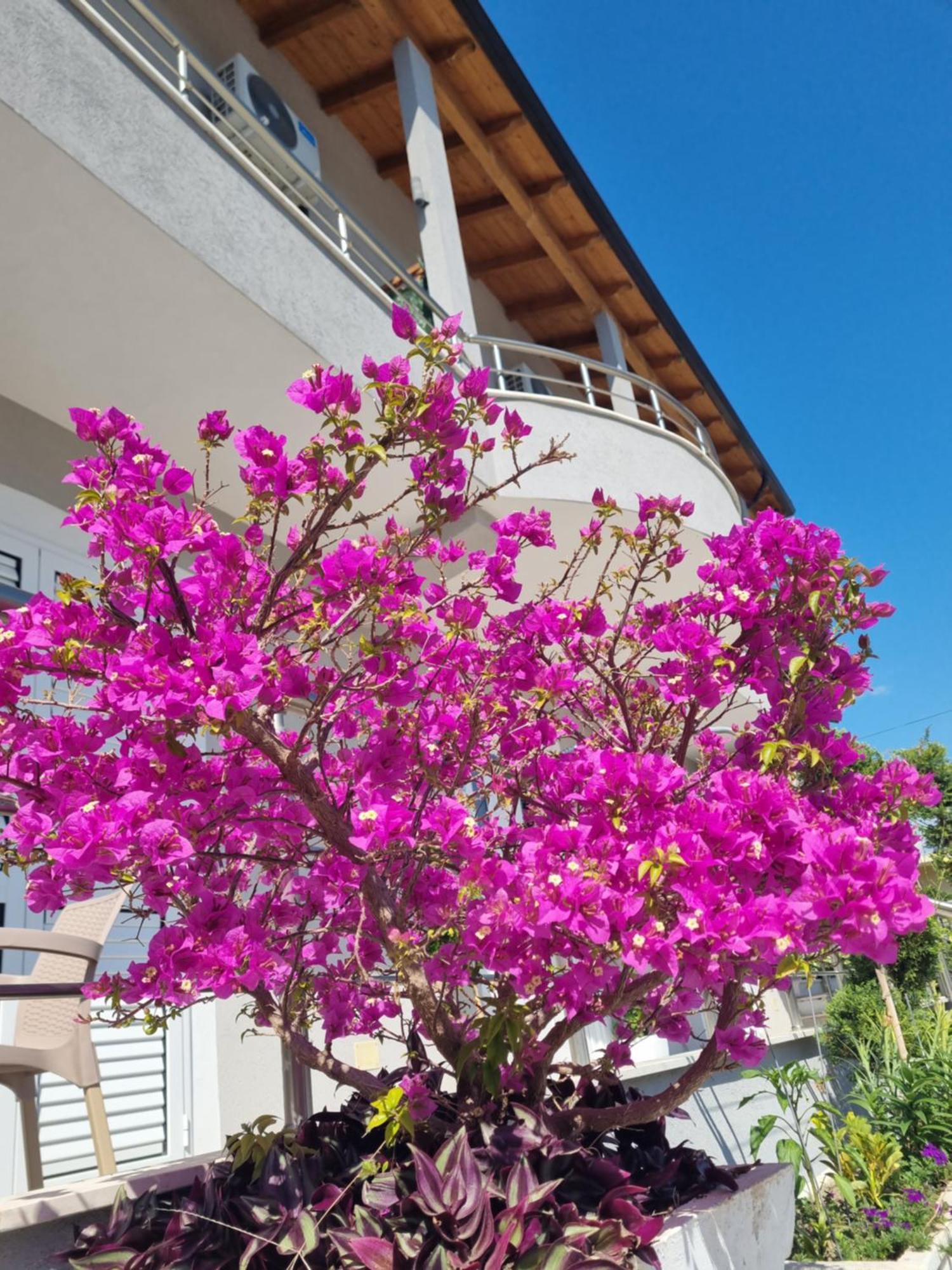 Vila Soleil Vlorë Eksteriør billede