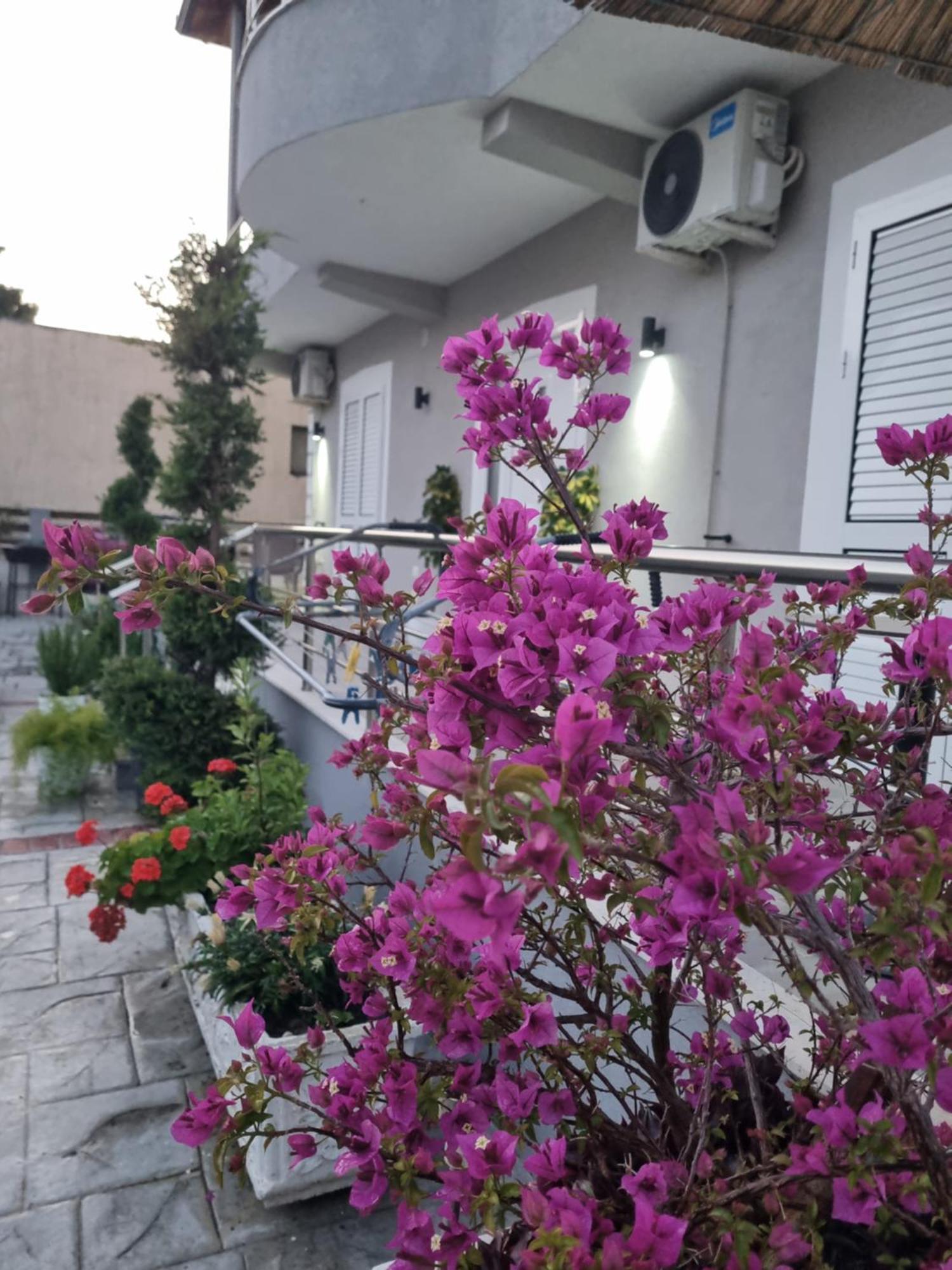 Vila Soleil Vlorë Eksteriør billede